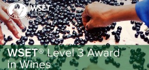 Level 3 Award in Wines